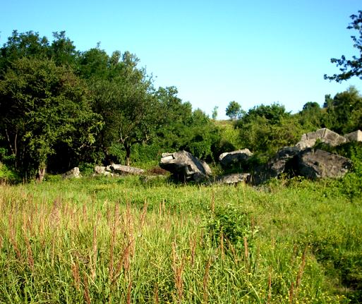 PÂłaszĂłw - panorama miejsca po obu kirkutach PodgĂłrza.JPG