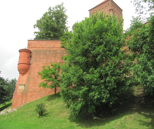 33. Cytadela Wawel i Baszta ZÂłodziejska.JPG