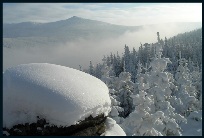 gagarin-styczeĂą 2010.jpg