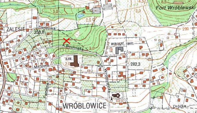Cmentarz 383 - WrĂłblowice.JPG