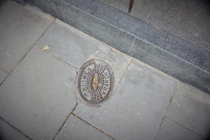 Pokrywa hydrantu (1).JPG