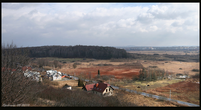 bodzow_winnica_2.jpg
