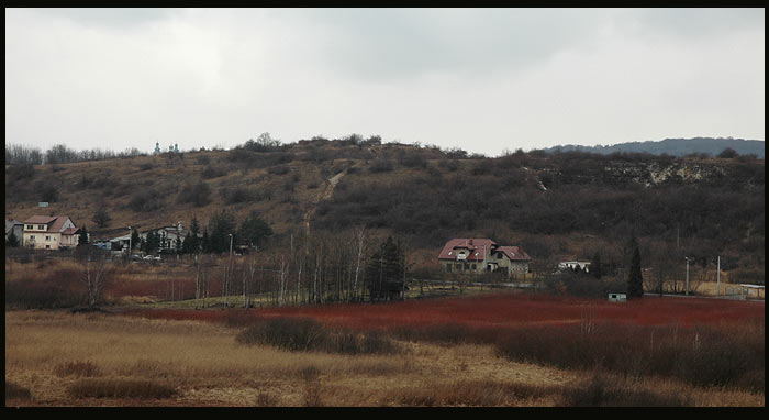 bodzow_winnica.jpg