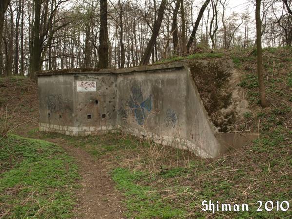 06a.jpg
