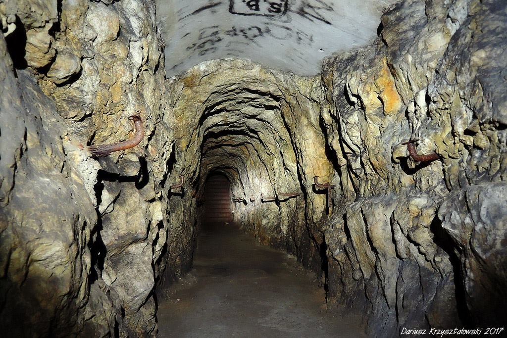 Fort Winnica