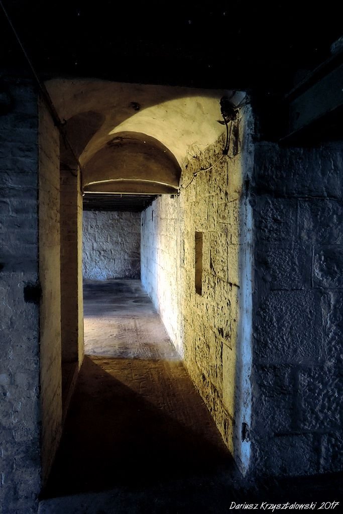 Fort Winnica