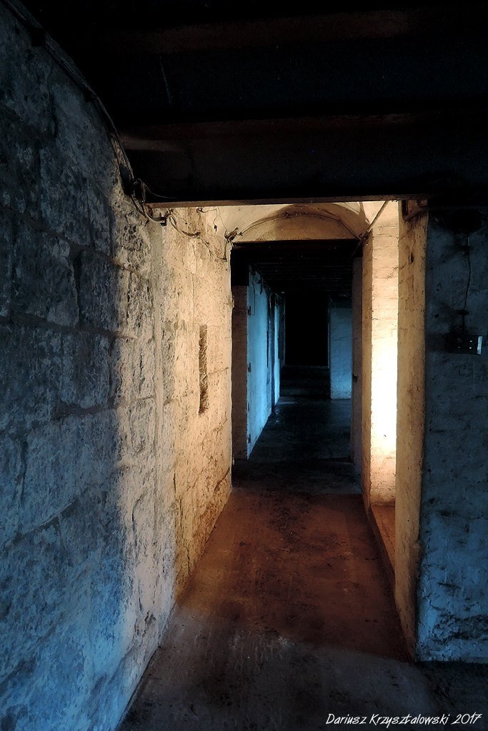 Fort Winnica