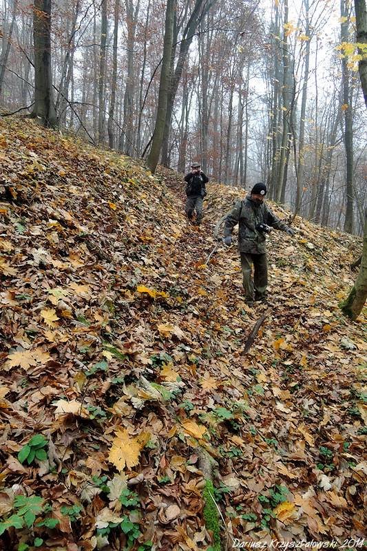 Sułoszowa i okolice