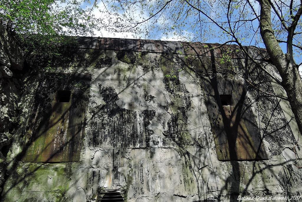 Fort Winnica