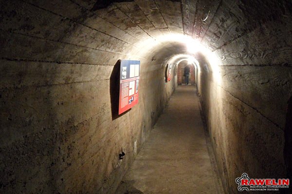 Dzień Pamięci Ofiar Gestapo - „LS-Deckungsgraben No. 7".