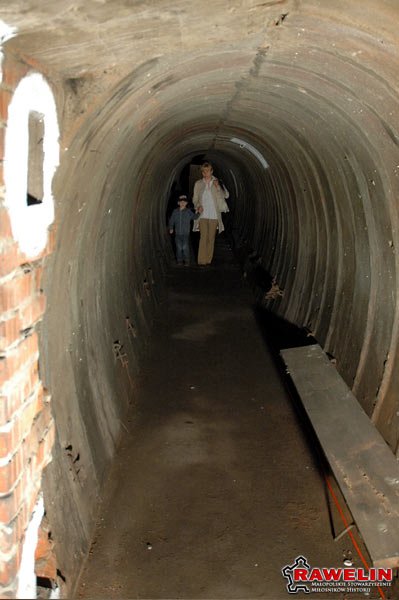 Dzień Pamięci Ofiar Gestapo - „LS-Deckungsgraben No. 8"