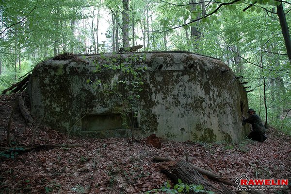 "Linia Mołotowa" - inwentaryzacja punktu oporu "Wielki Dział".