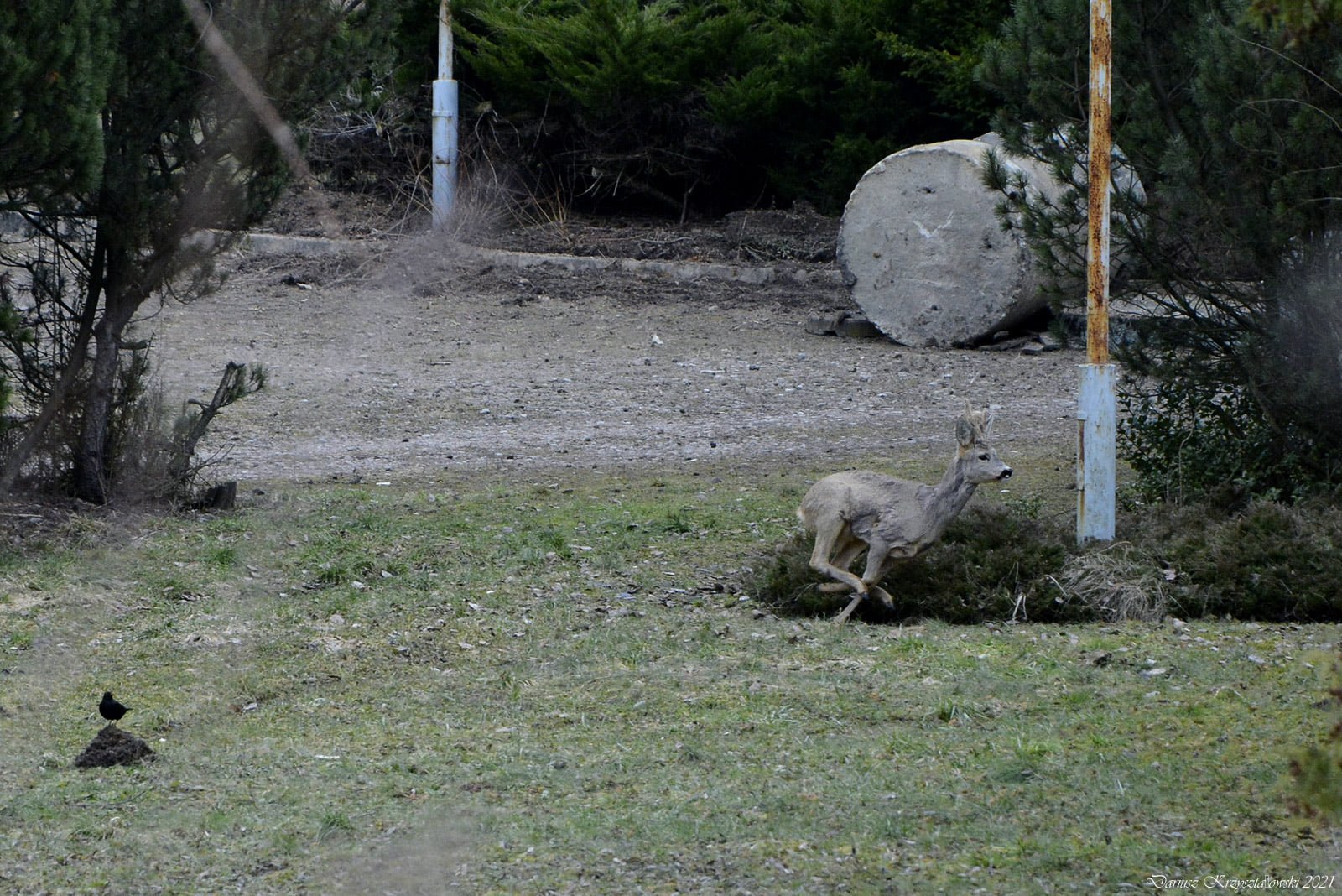 2021 03 14 Nowy dom dla schronu