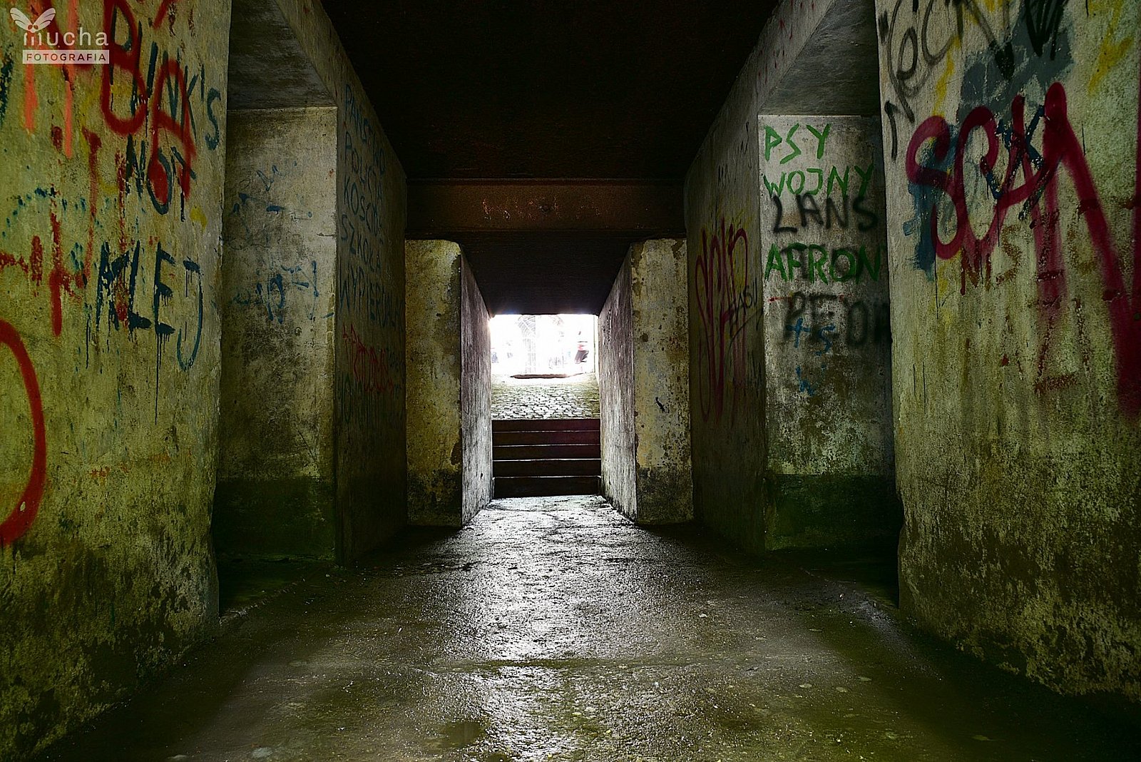 Bieg Twierdzy Kraków - Batowice
