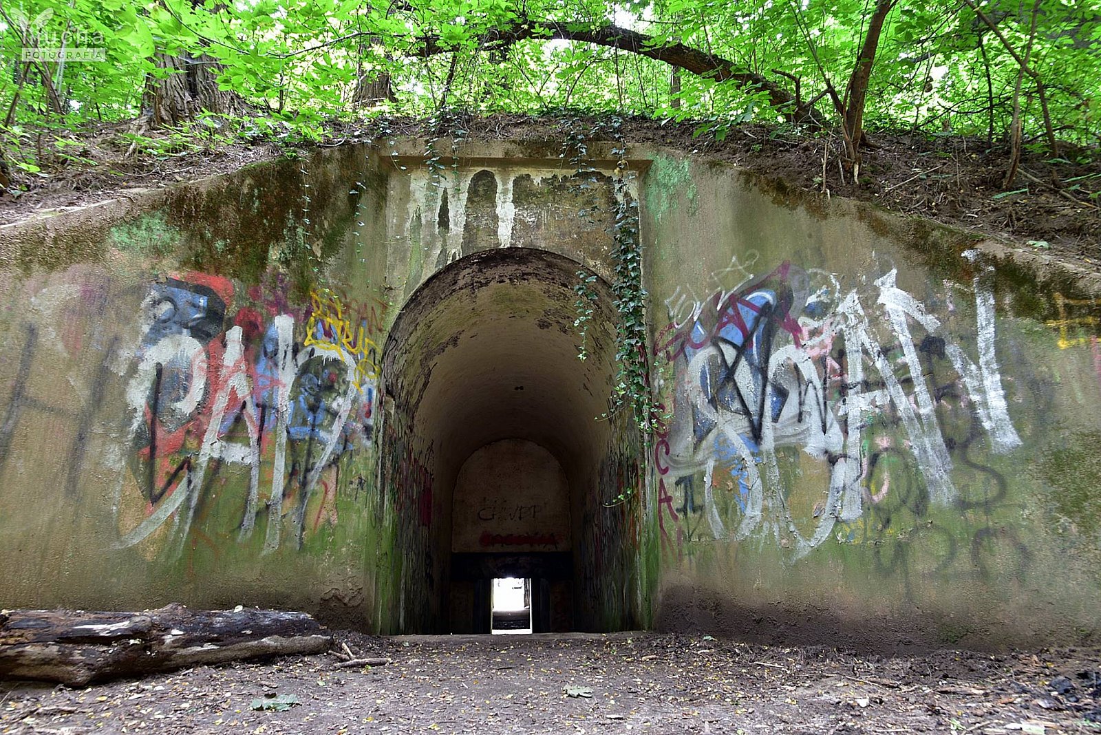 Bieg Twierdzy Kraków - Batowice