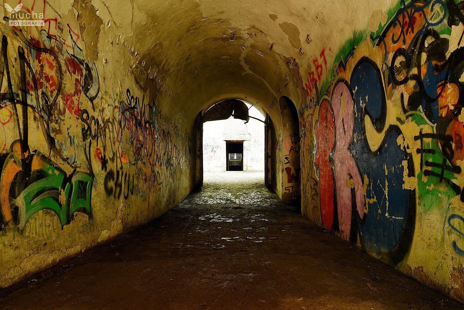 Bieg Twierdzy Kraków - Batowice