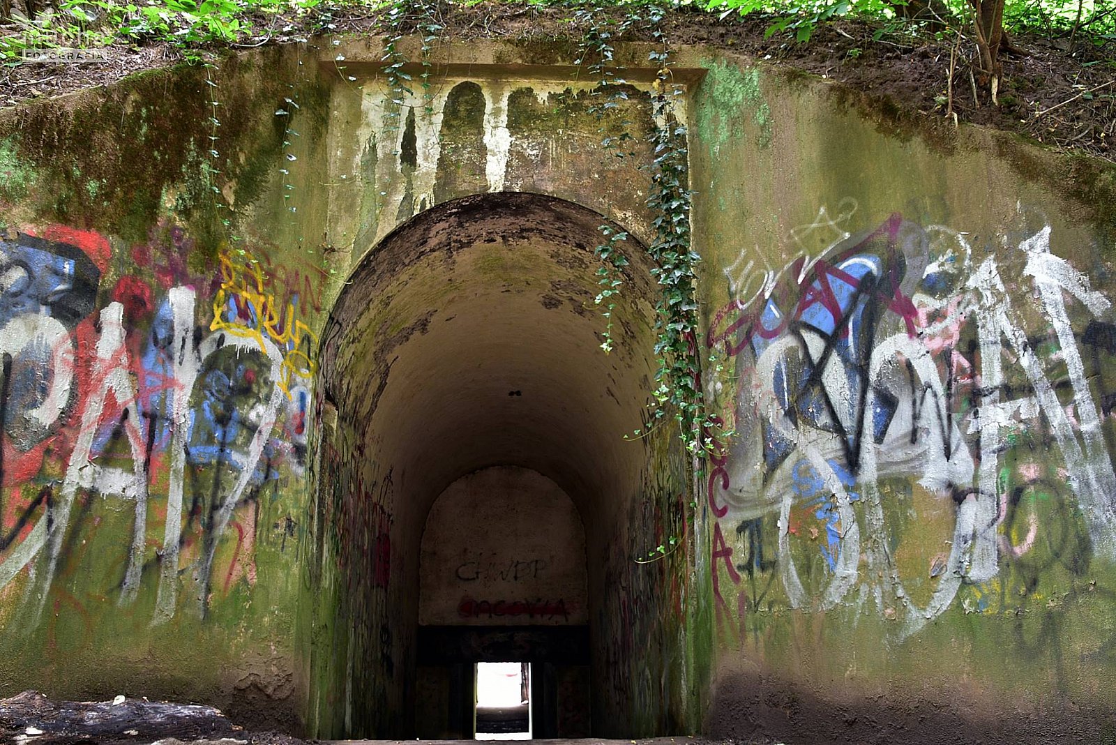 Bieg Twierdzy Kraków - Batowice