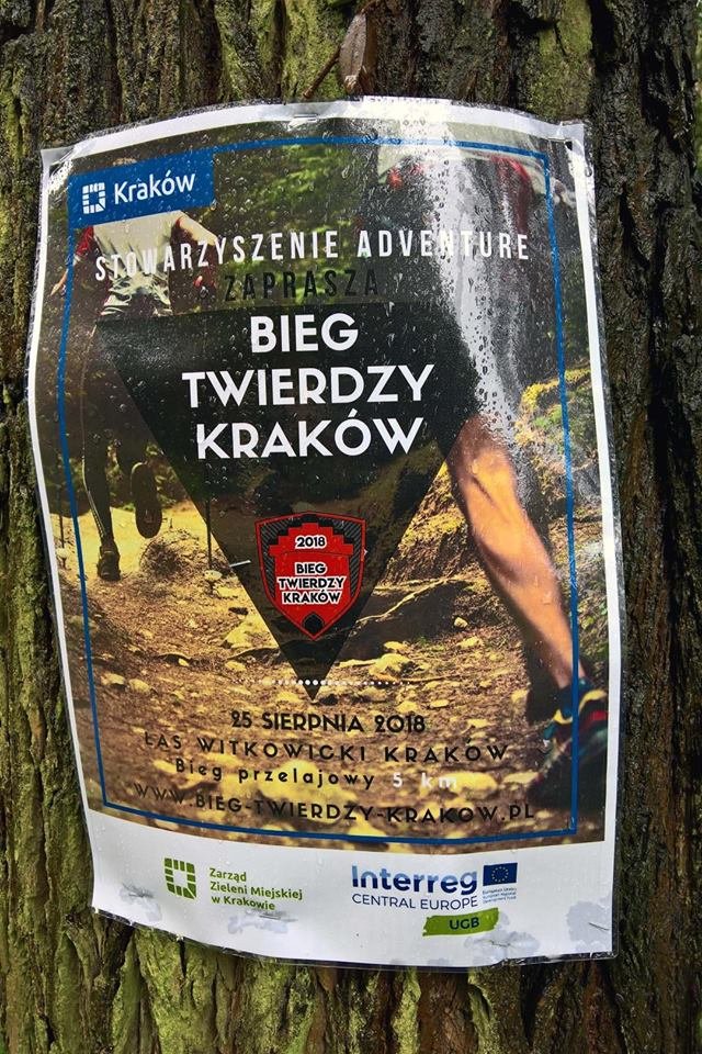 Bieg Twierdzy Kraków - Las Witkowicki