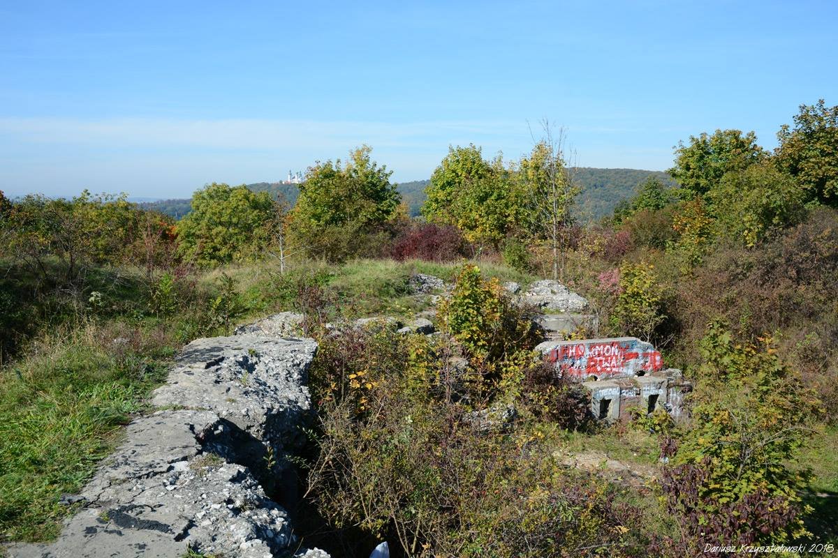 Bieg Twierdzy Kraków - Bodzów