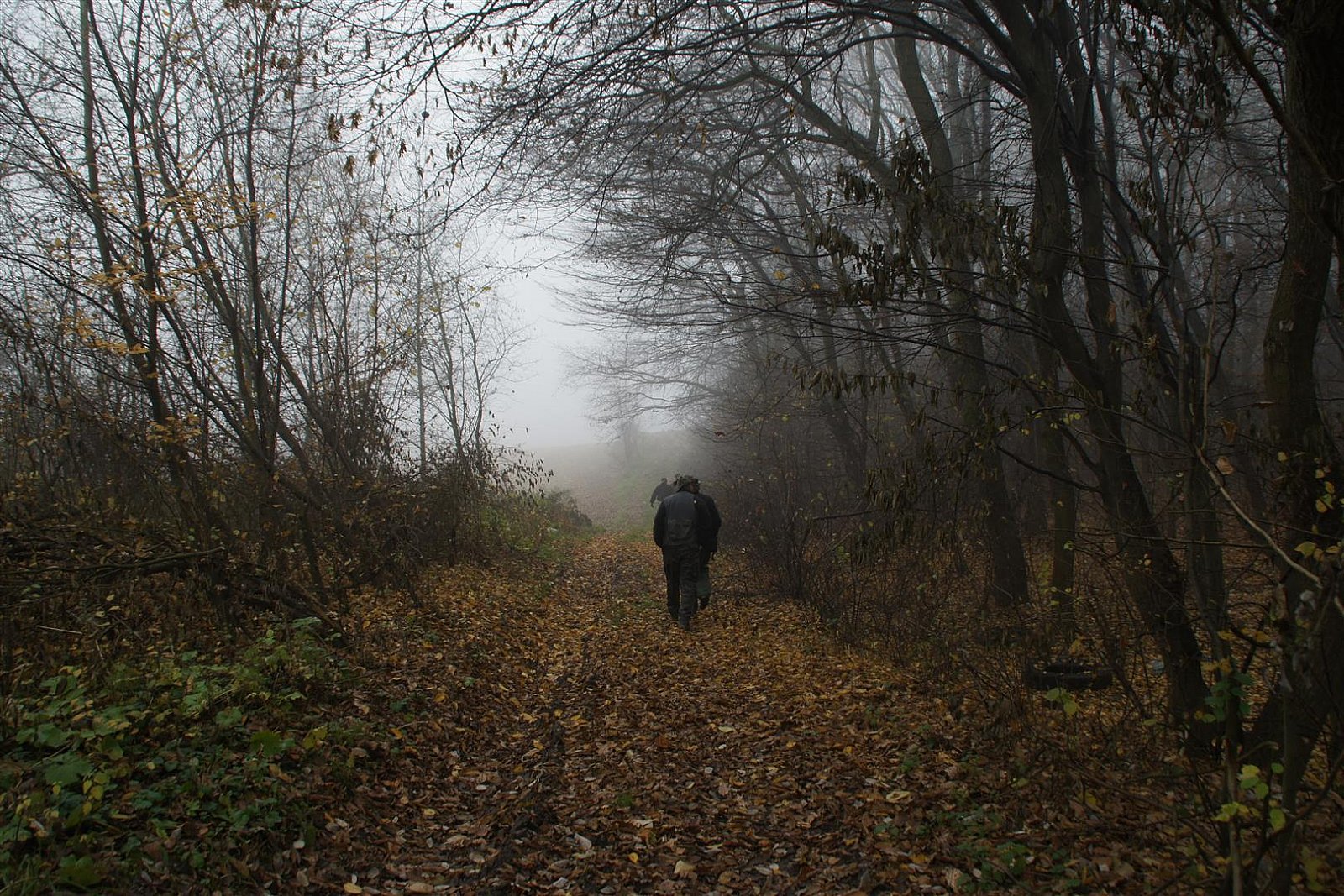 Sułoszowa i okolice
