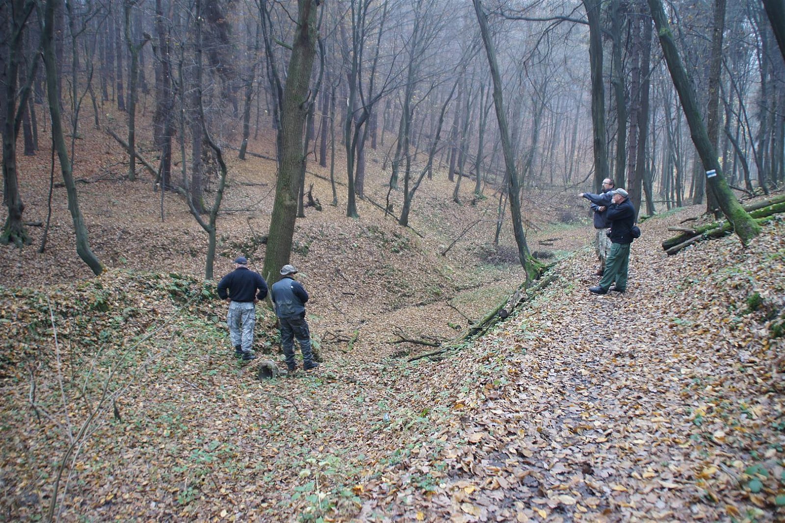 Sułoszowa i okolice