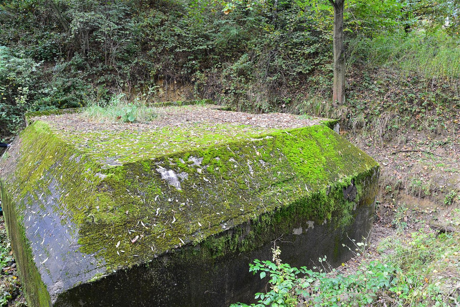 Spotkanie z historią -  Piknik w Rudawie